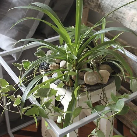 Bed & Breakfast Bed+art